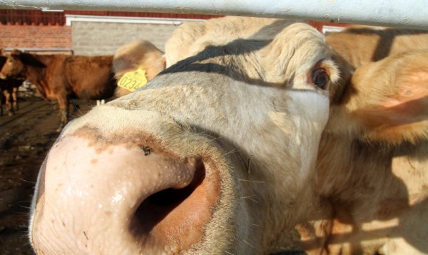 nnnnnnnnnnnnnnnnnnn 006.JPG