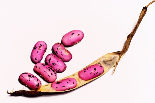 20080120-012c HDR justerad 8bit.jpg