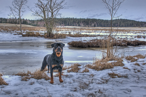 DSC_0156_7_8_tonemapped - Kopia.jpg