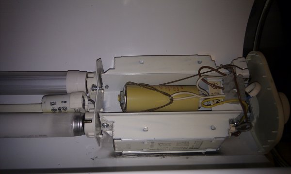 Mobile Photo2012-02-22 07.11.55 e.m..jpg