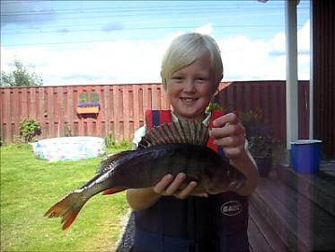 Snapshot 4 (2011-10-06 19-11).jpg