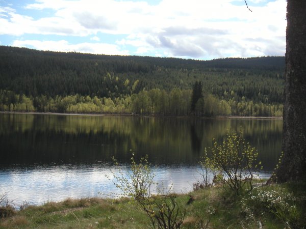 PICT0014.JPG
