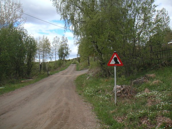 PICT0001.JPG