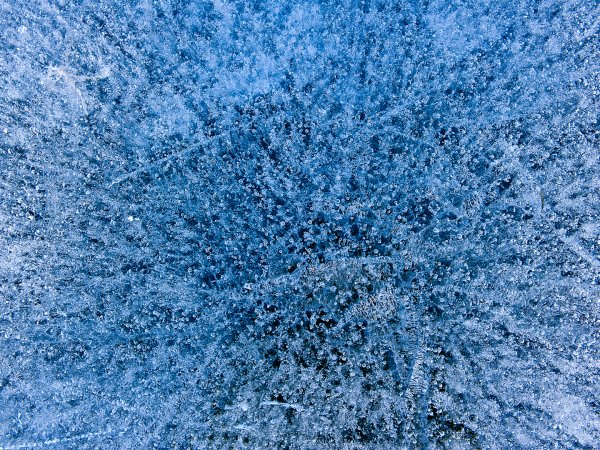 _DSC2760-Redigera.jpg _DSC2760-Redigera.jpg