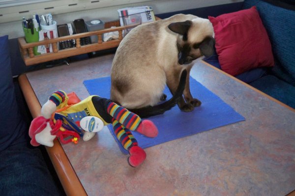 100_2792.JPG 100_2792.JPG