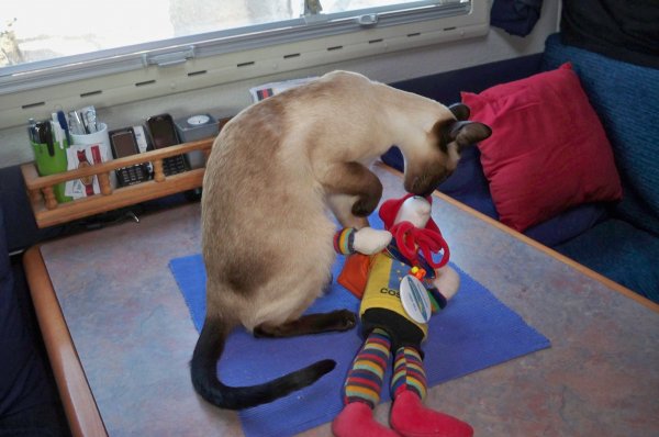 100_2794.JPG 100_2794.JPG