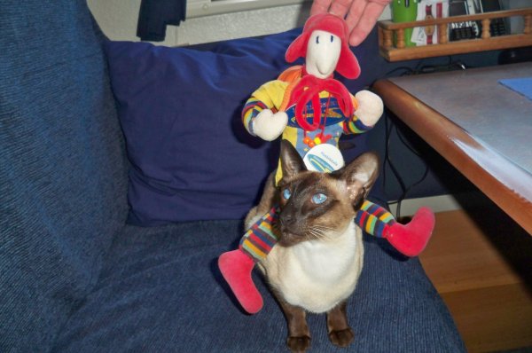 100_2799.JPG 100_2799.JPG