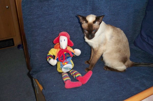 100_2801.JPG 100_2801.JPG