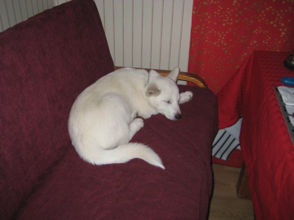 Nyår-Sälenresan 002.JPG