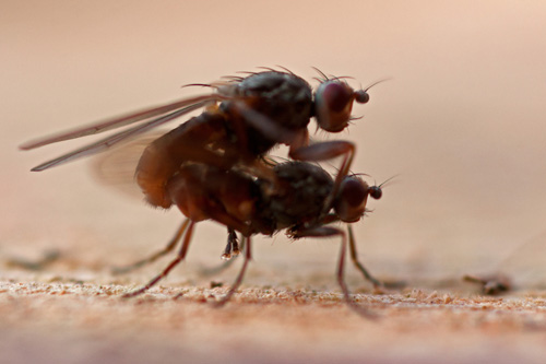 DSC_0049 - Kopia.jpg