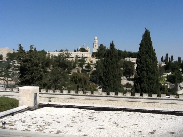 IMG_0237.JPG IMG_0237.JPG