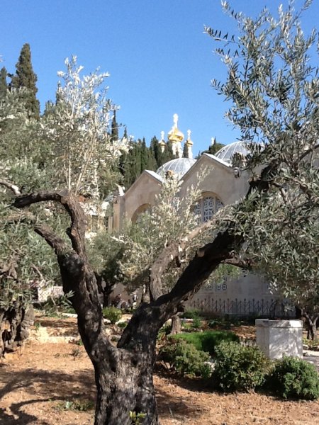 IMG_0339.jpg IMG_0339.jpg