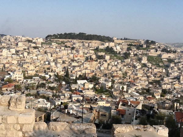 IMG_0383.jpg IMG_0383.jpg