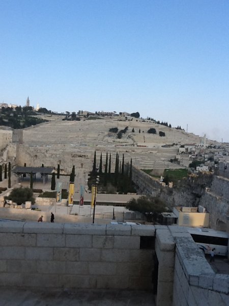 IMG_0374.jpg IMG_0374.jpg