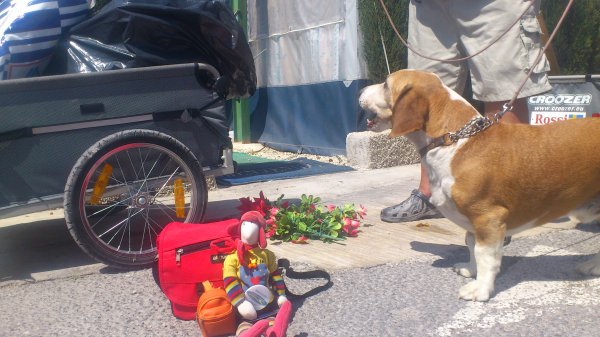 DSC_0037.JPG DSC_0037.JPG