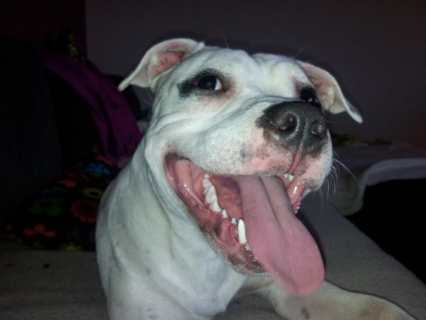 Samsung 120405 207.jpg