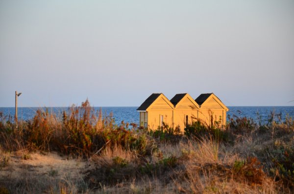 DSC_1863 (Large).JPG DSC_1863 (Large).JPG