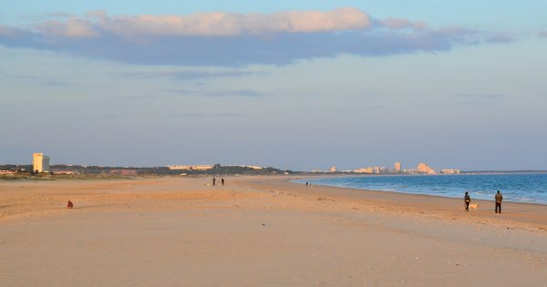 DSC_1877 (Large).JPG DSC_1877 (Large).JPG