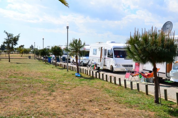 DSC_1846 (Large).JPG DSC_1846 (Large).JPG