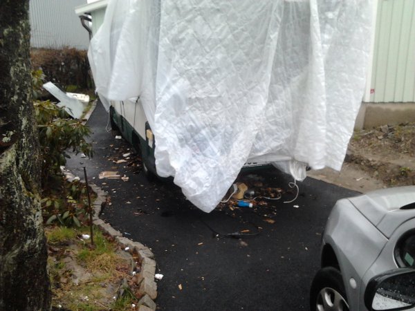 2012-04-10 07.38.58.jpg