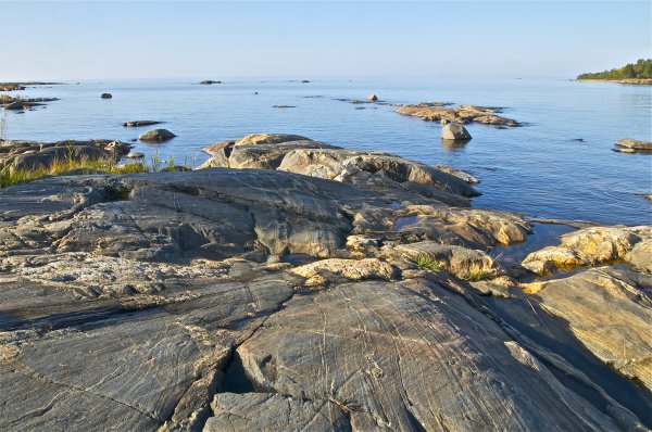 DSC_1504.jpg DSC_1504.jpg