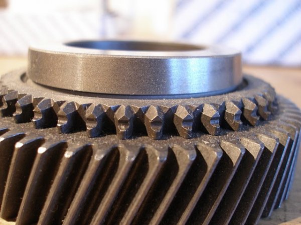 P8010138.JPG P8010138.JPG