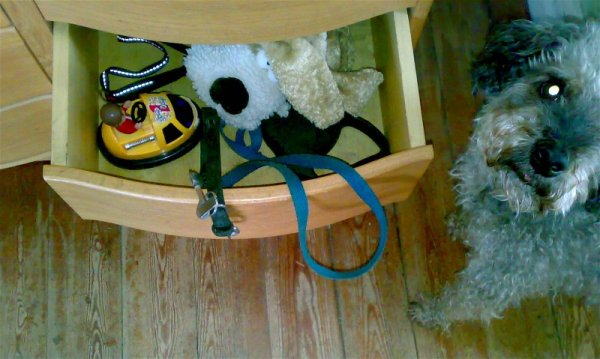 sofussnor.jpg sofussnor.jpg