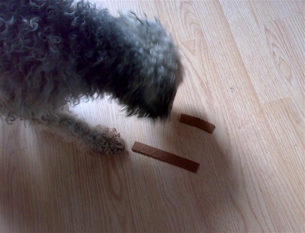 sofusritual.jpg sofusritual.jpg