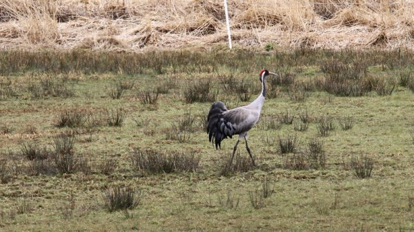 kjihjohjiojhl 121.JPG