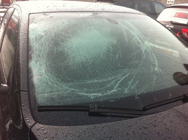 IMG_0597.JPG IMG_0597.JPG