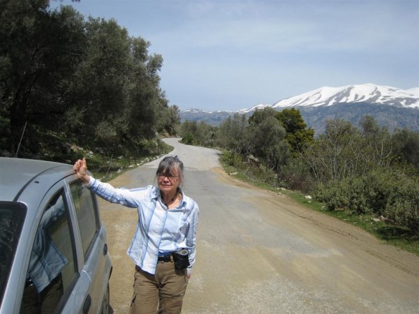 IMG_0288 (Large).JPG IMG_0288 (Large).JPG