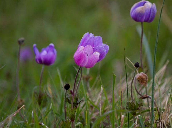 IMG_3843 (Large).jpg IMG_3843 (Large).jpg