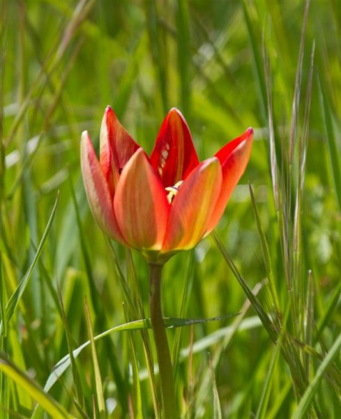 IMG_3877 (Large).jpg IMG_3877 (Large).jpg