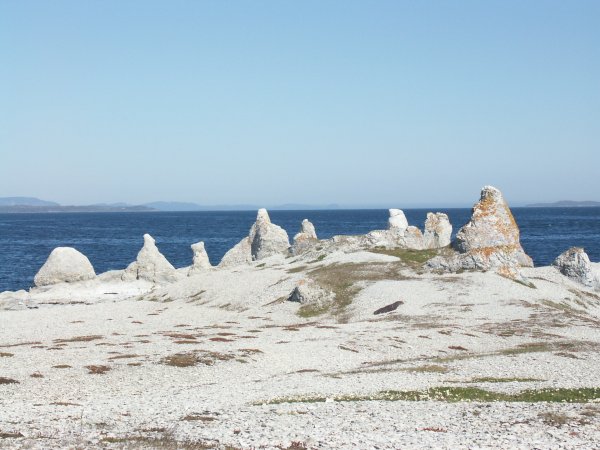 PICT0045.jpg