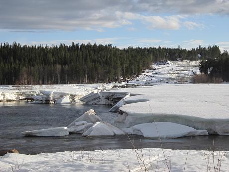 Storforsen 29 april.JPG