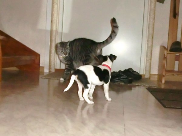 Spännande möte..jpg