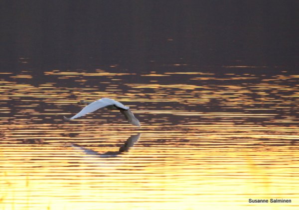 IMG_1975.JPG IMG_1975.JPG