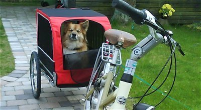 Kärra1.jpg Kärra1.jpg