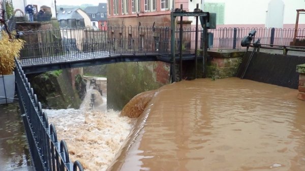 DSC00143 (640x360).jpg