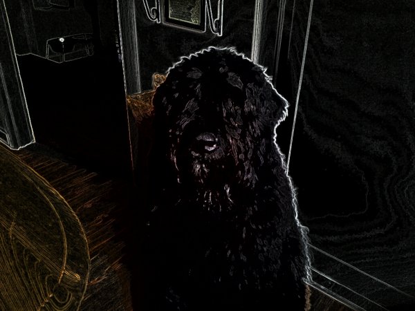 PaperCamera2012-05-04-15-19-38.jpg