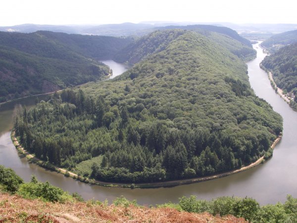 IMGP0007.JPG IMGP0007.JPG