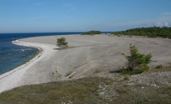 sk1.jpg