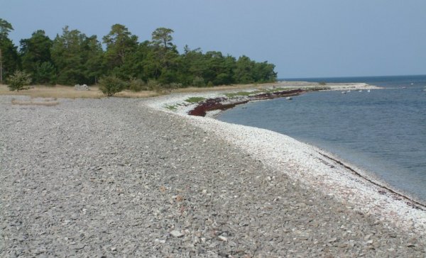 sk7.jpg