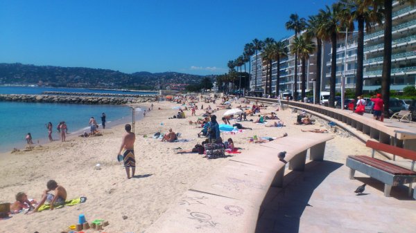 DSC_0103.JPG DSC_0103.JPG