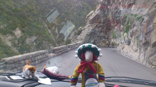 DSC_0167.JPG DSC_0167.JPG