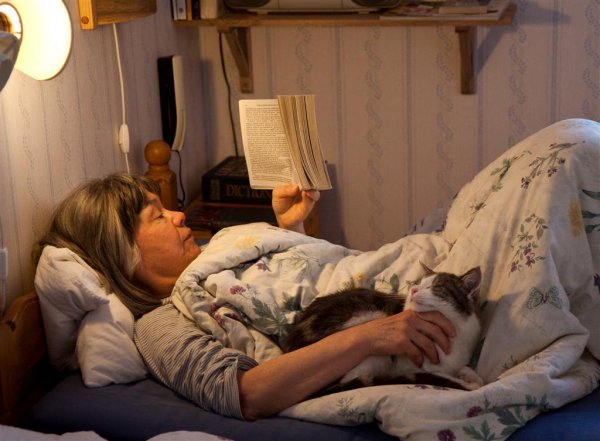 IMG_2628 (Large).jpg IMG_2628 (Large).jpg