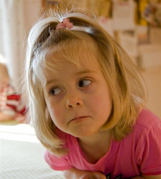 IMG_0509 (Large).jpg