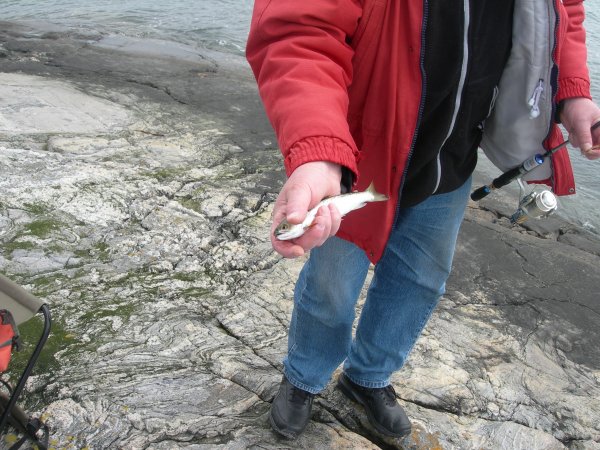 Hyppeln 2012 100.jpg