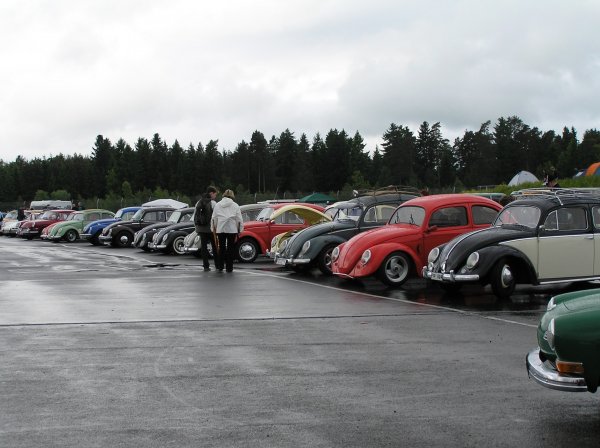 P6110462-001 spåret2.jpg