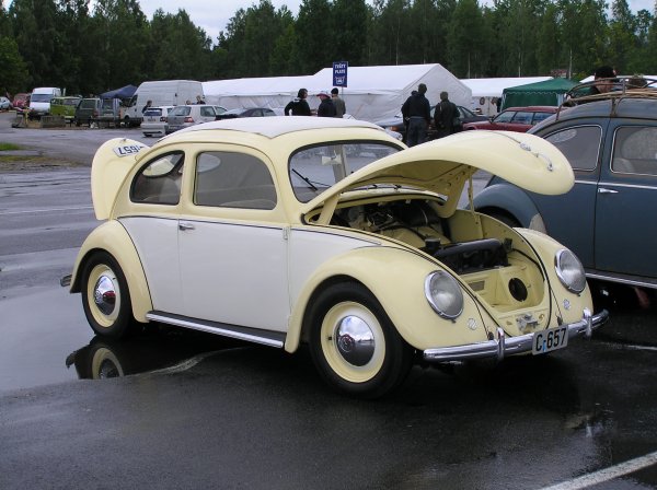 P6110463 spåret igen.jpg